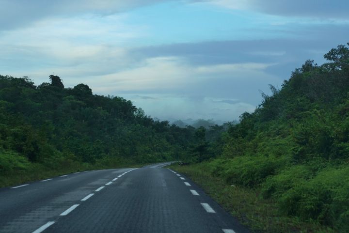 une route guyanaise bordée par la forêt