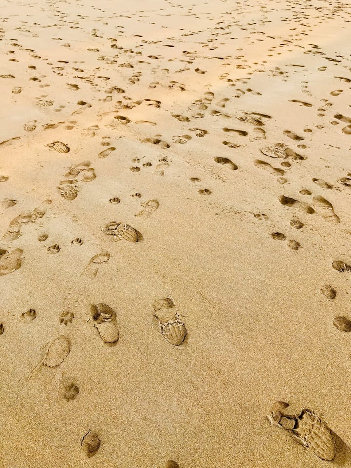 Des empreintes de pas variées dans le sable